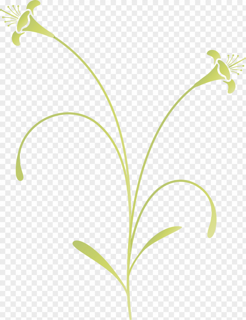 Flower Lily Of The Valley Plant Leaf Pedicel PNG
