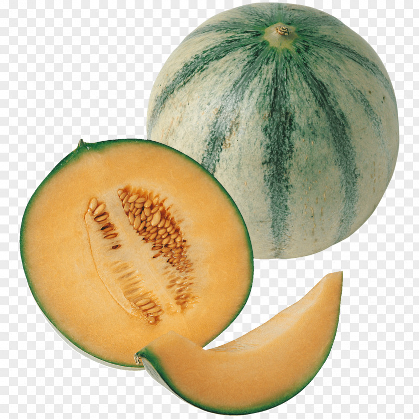 Melon Honeydew Cantaloupe Galia Charentais PNG
