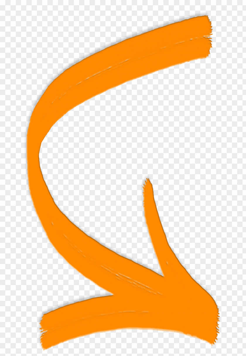 Orange Curve Curved Screen Map Information Clip Art PNG