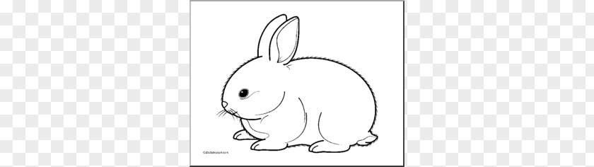 Rabbit Cliparts White Holland Lop Hare Clip Art PNG