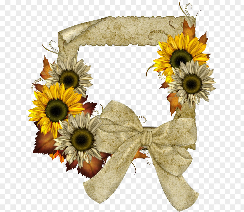 Sunflower Photo Box Picture Frame Common Clip Art PNG