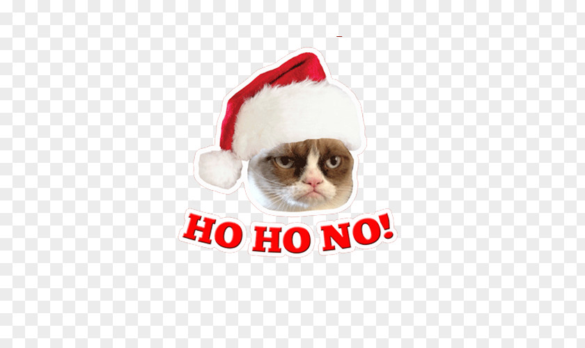 Cat Grumpy Whiskers Santa Claus Christmas Ornament PNG