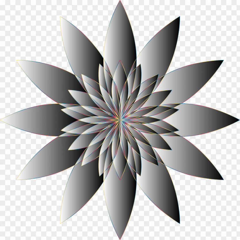 Flower Wallpaper Desktop Clip Art PNG