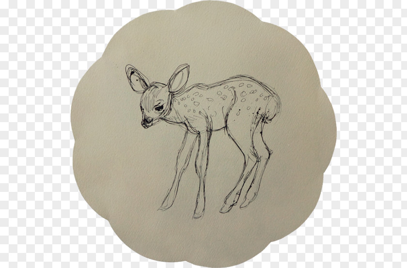 Pen And Ink Canidae Mammal Cattle Hare Macropods PNG