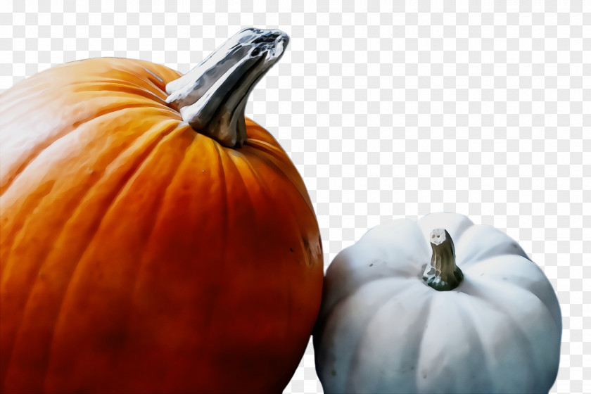 Gourd Fruit Pumpkin PNG