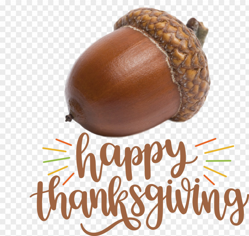 Happy Thanksgiving Day PNG