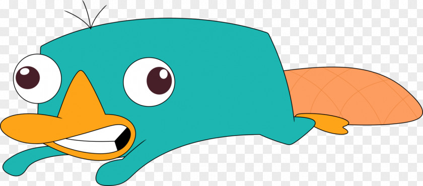 Perry The Platypus Beak Phineas Flynn Ferb Fletcher PNG