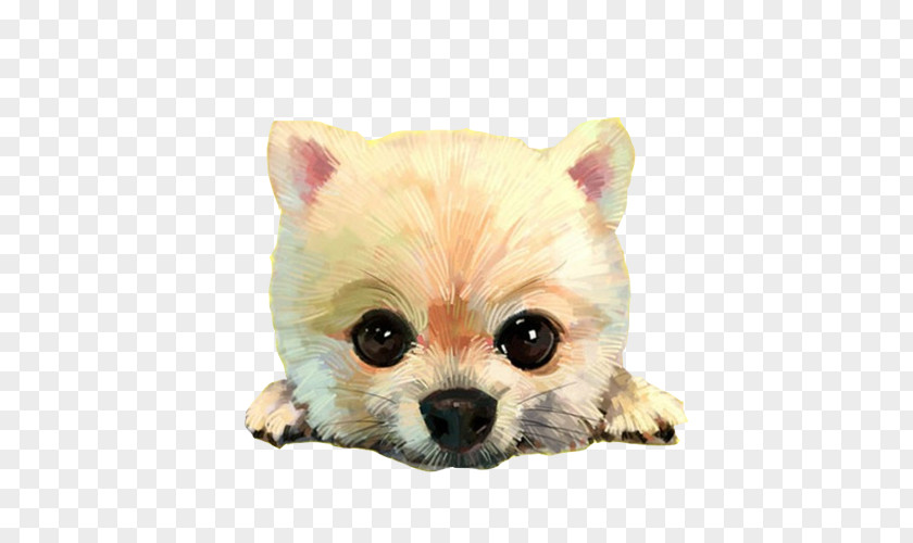 Pomeranian Sell Meng Material Picture Avatar Cartoon Illustration PNG