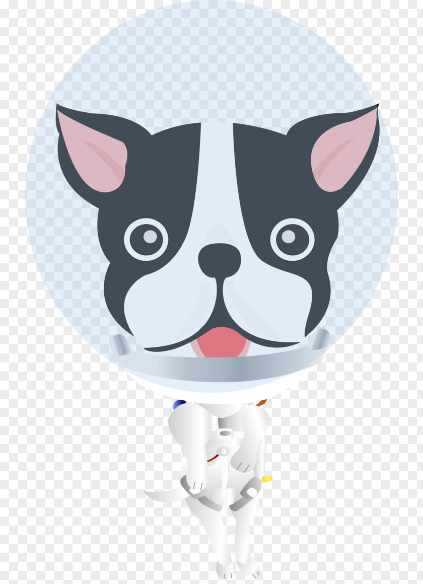 Puppy Boston Terrier French Bulldog Jack Russell PNG