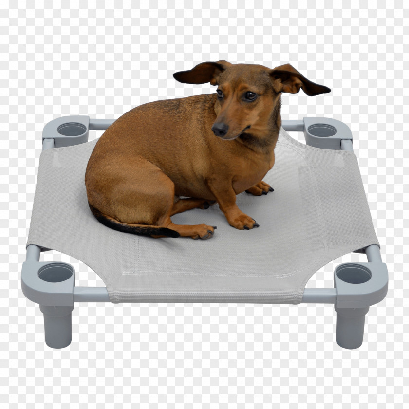 Pvc Coated Hardware Cloth Dog Breed Puppy Snout Bed PNG