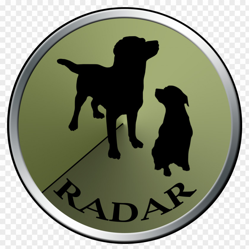 Radar Labrador Retriever Sporting Group Dog Breed Canidae PNG