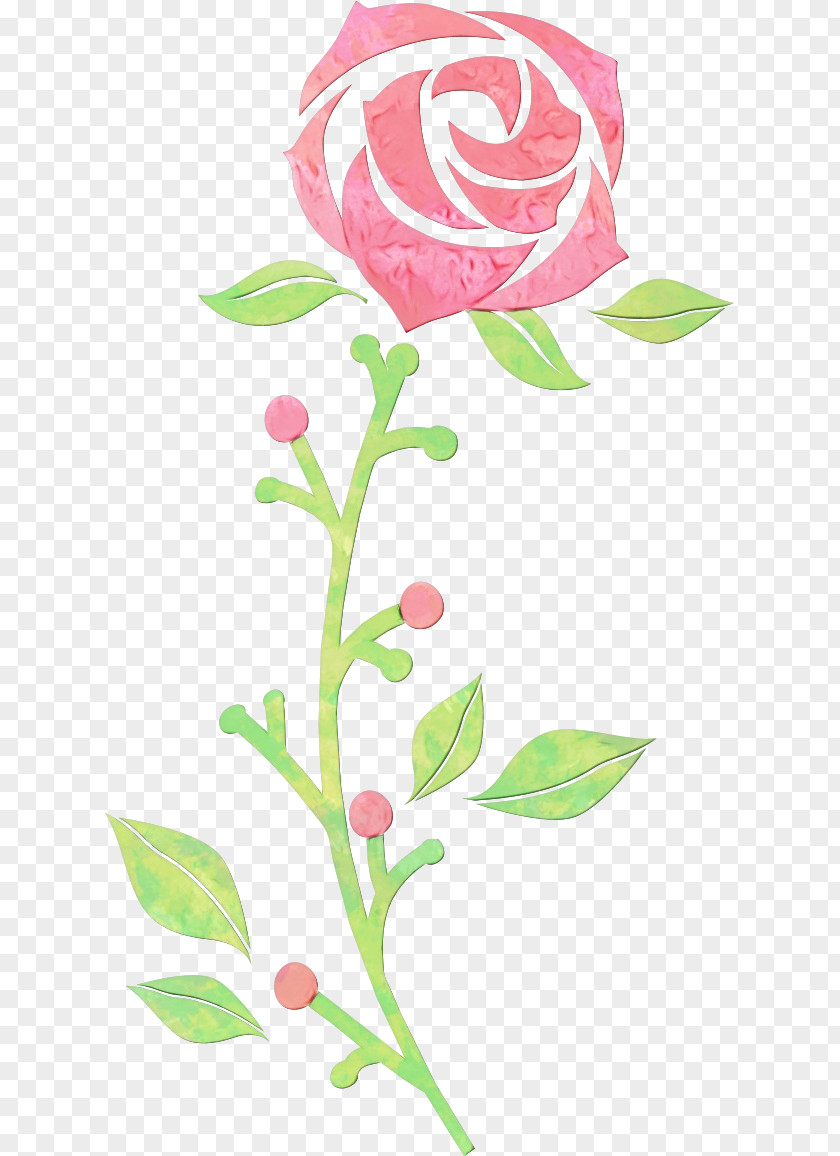 Rose Flowering Plant PNG