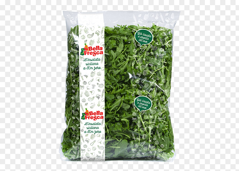Traffic Leaf Vegetable Herb PNG