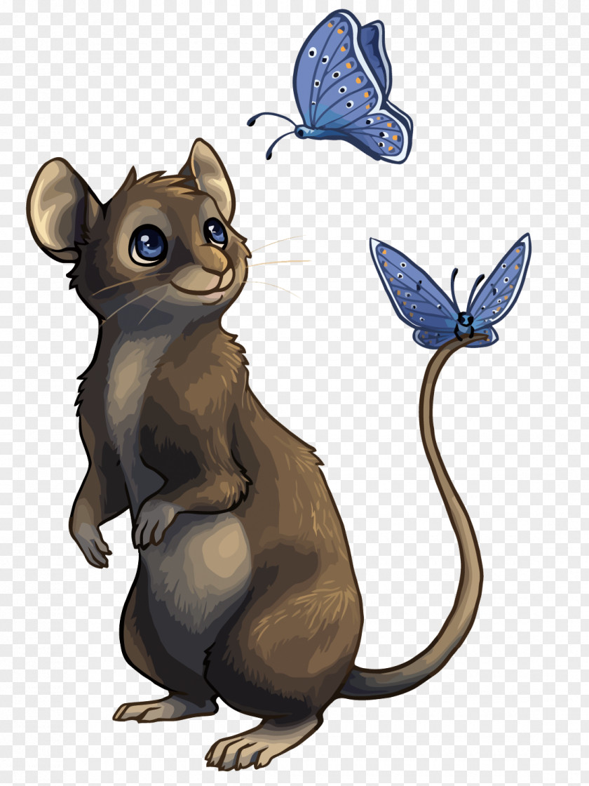 Vector Mouse And Butterfly Computer Whiskers English Digital Art PNG