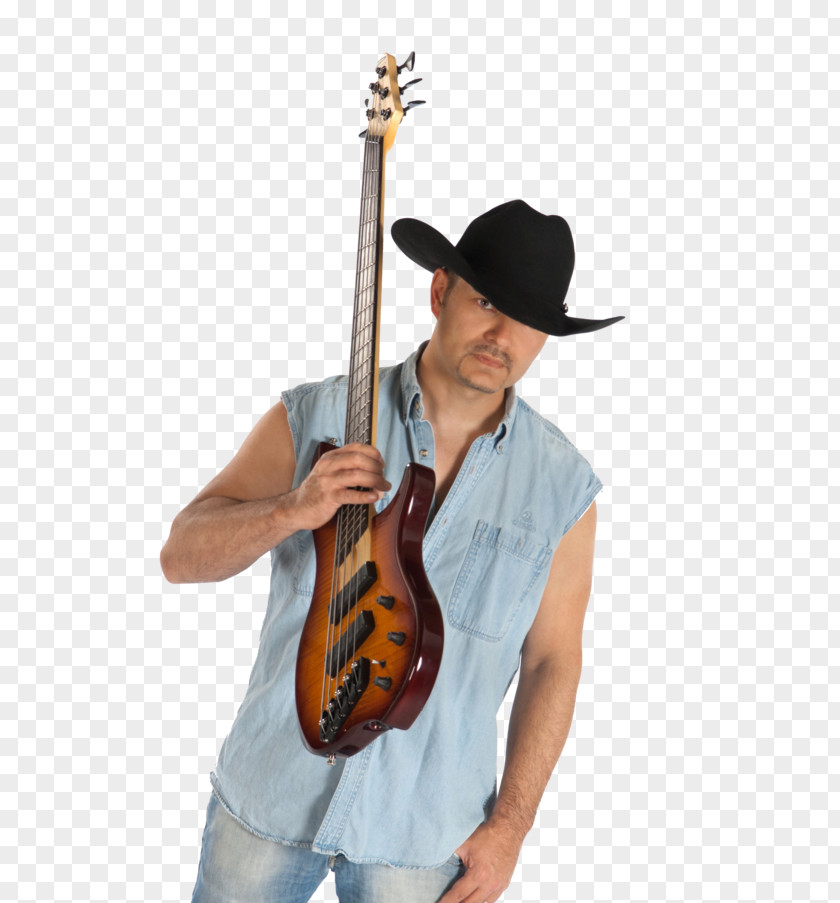 Violin Bass Guitar Double Cello Lead PNG
