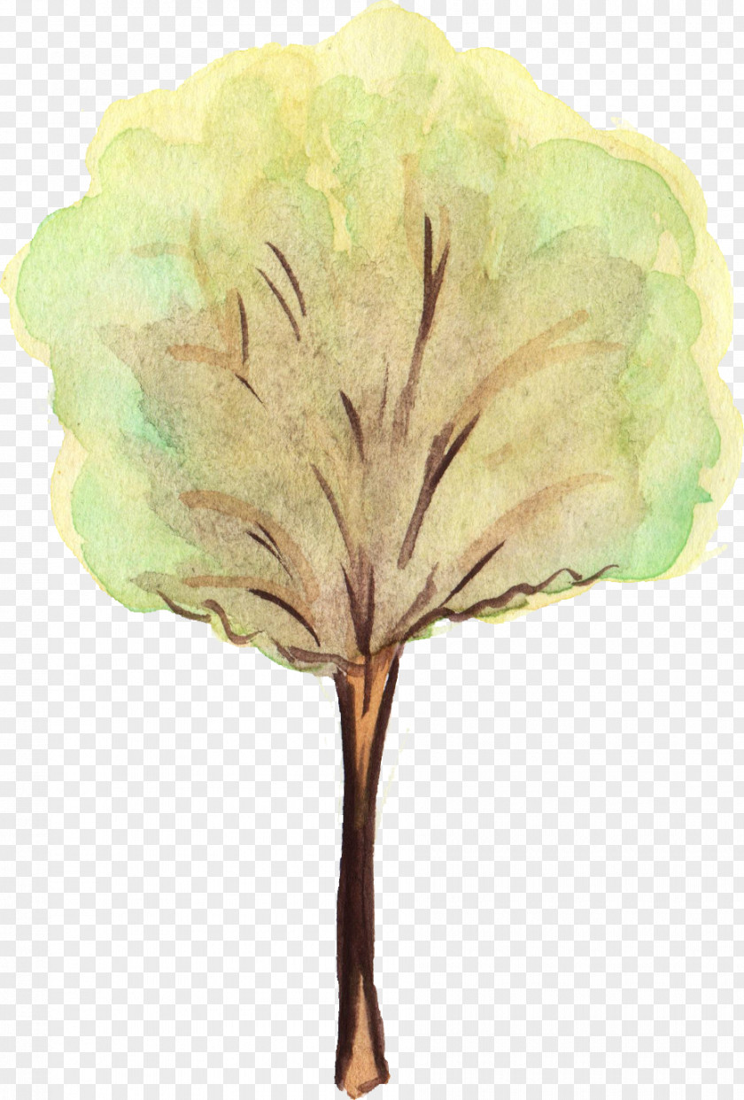 Watercolor Tree Leaf Painting PNG