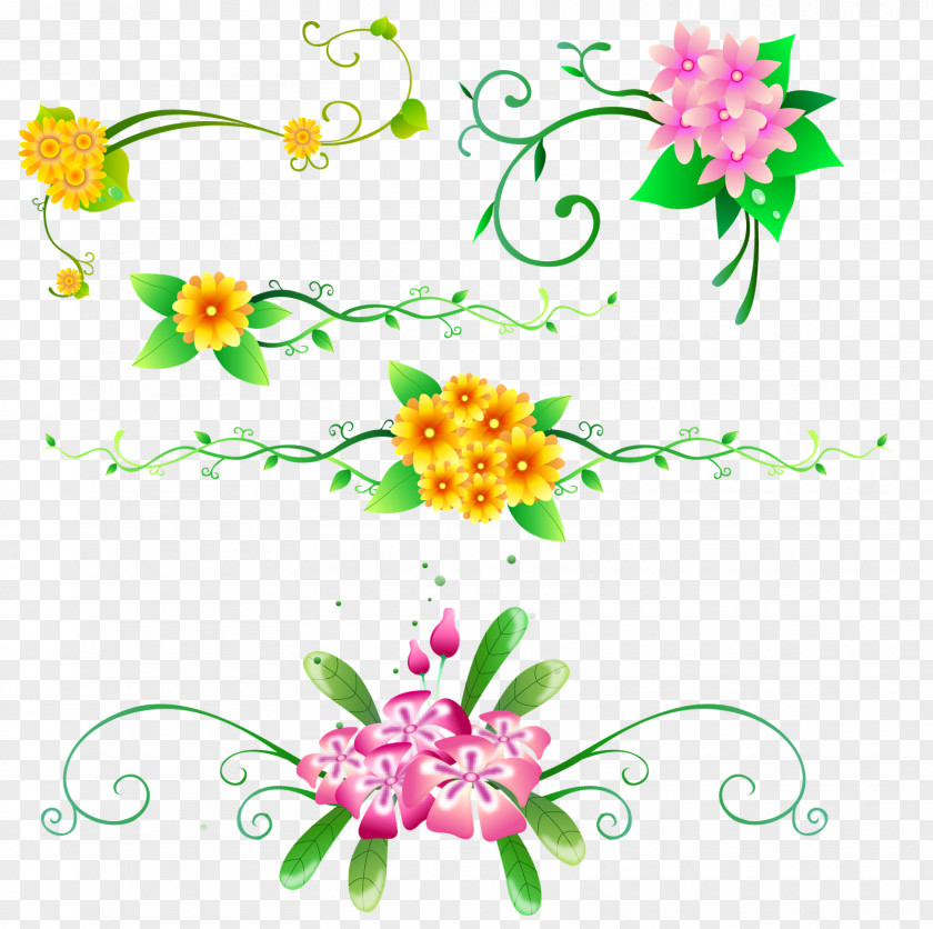 BORDAS Flower Floral Design Clip Art PNG