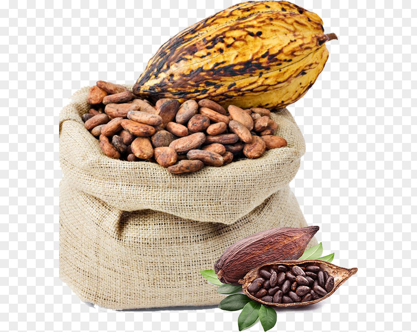Chocolate Criollo Cocoa Bean Solids Liquor PNG