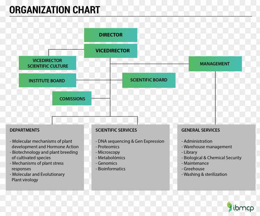 Design Web Page Organization Brand PNG