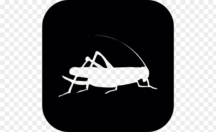 Insect Locust Silhouette Cricket Pest PNG