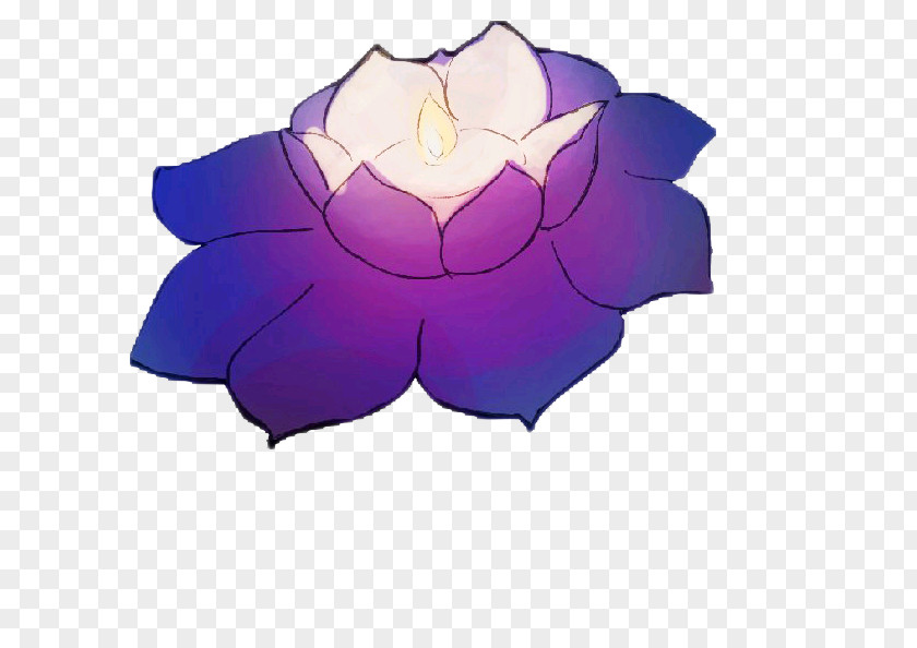 Lotus Purple Nelumbo Nucifera PNG