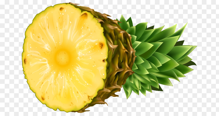 Pineapple Coconut Water Milk Clip Art PNG