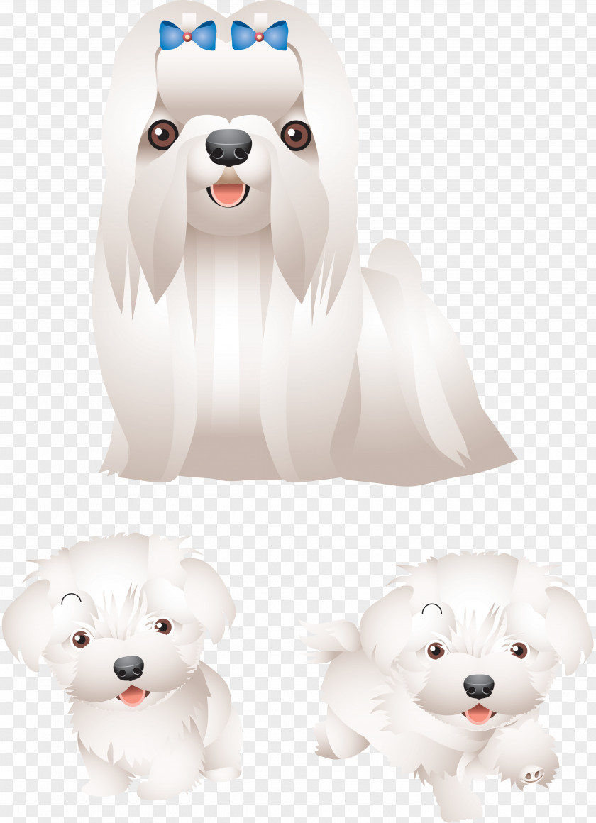 Puppy Maltese Dog Companion Breed Toy PNG
