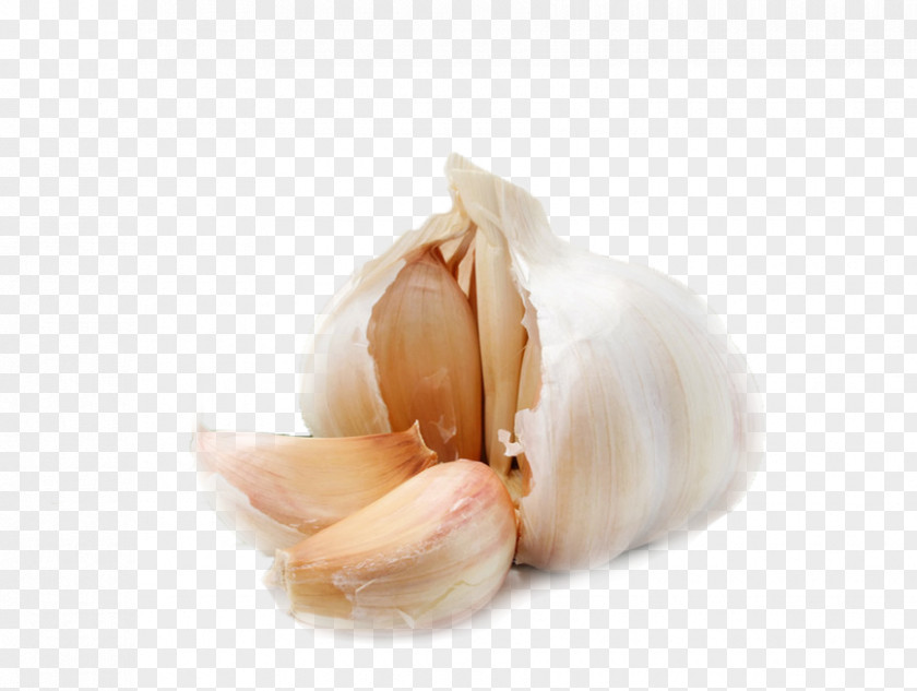 A Garlic Disease Food Health Infection Medicine PNG