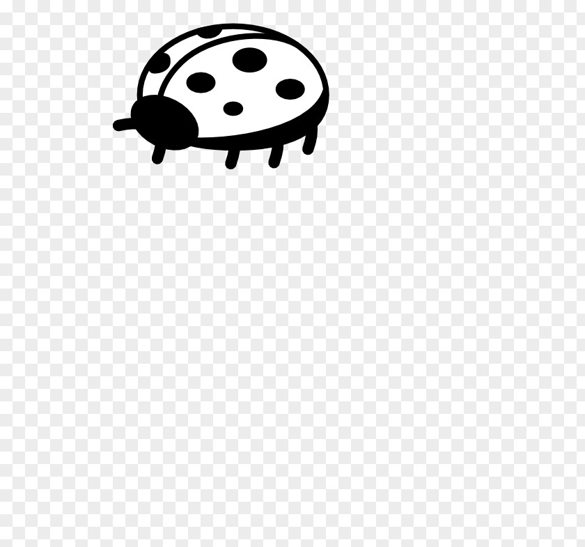 Black Ladybug Cliparts And White Ladybird Clip Art PNG