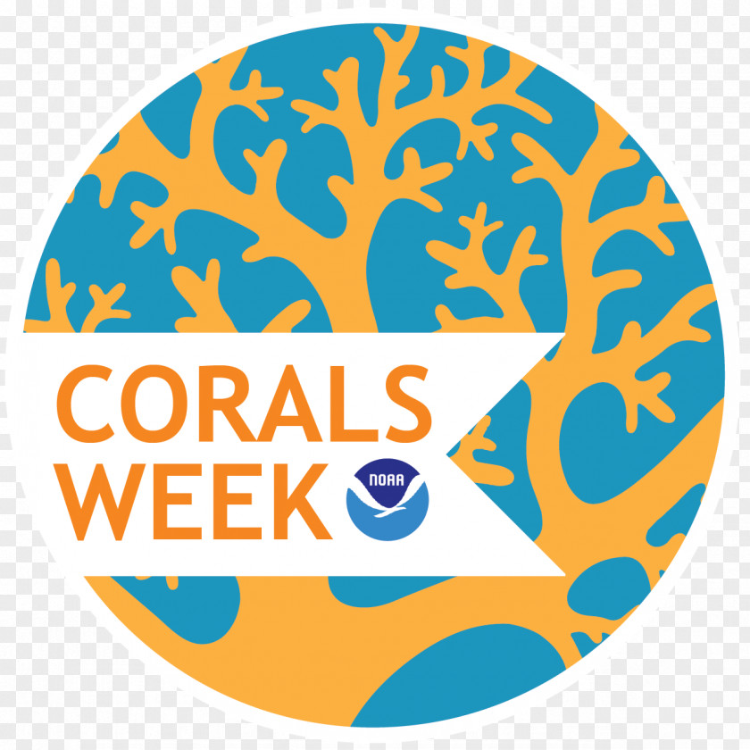 Corals Coral Reef Marine Ecosystem PNG