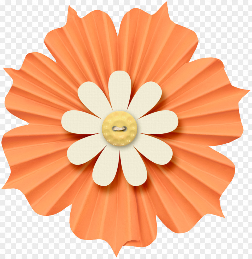 Flower Paper Pallet PNG