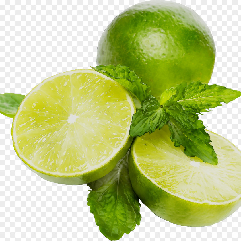 Key Lime Lemon Limeade Persian PNG