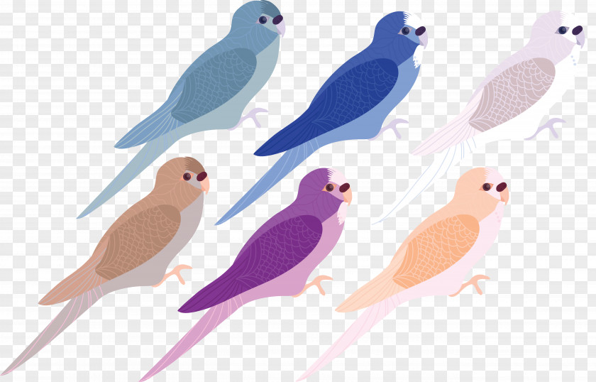 Painted Bird Download PNG