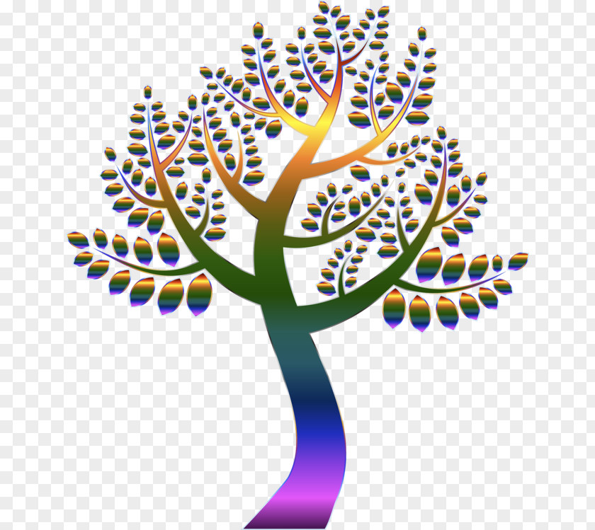 Plant Leaf Tree Trunk Drawing PNG