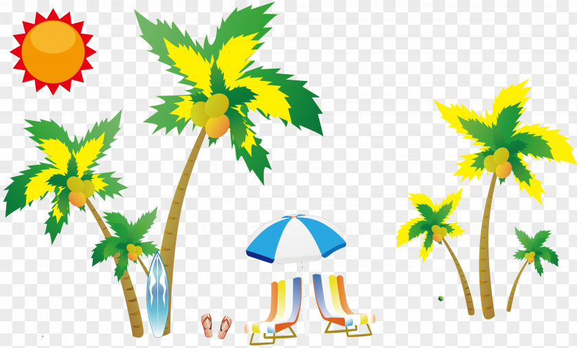 Seaside Coconut Tree Clip Art PNG