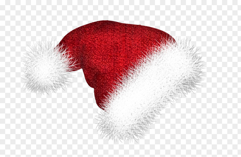 Christmas Hat Fur PNG