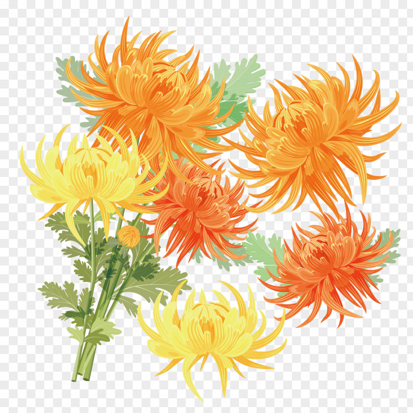 Hand-painted Golden Chrysanthemum Vector Material Xd7grandiflorum Gold Double Ninth Festival PNG