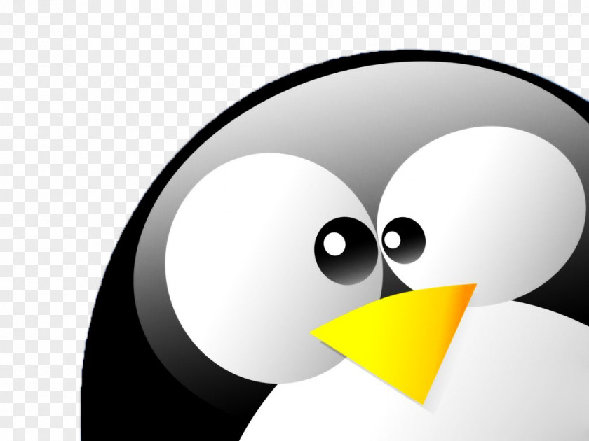 Penguin Tux Desktop Wallpaper Linux Foundation PNG