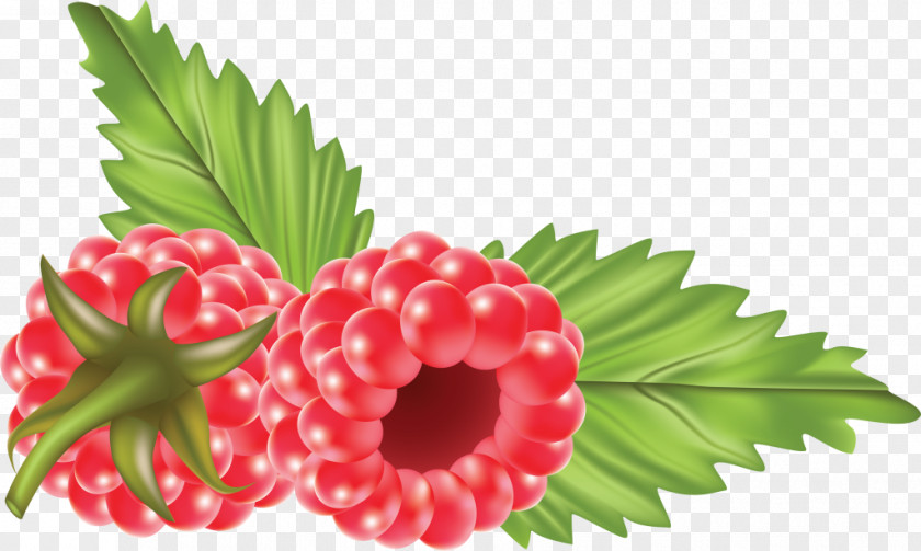 Strawberry Raspberry Information PNG