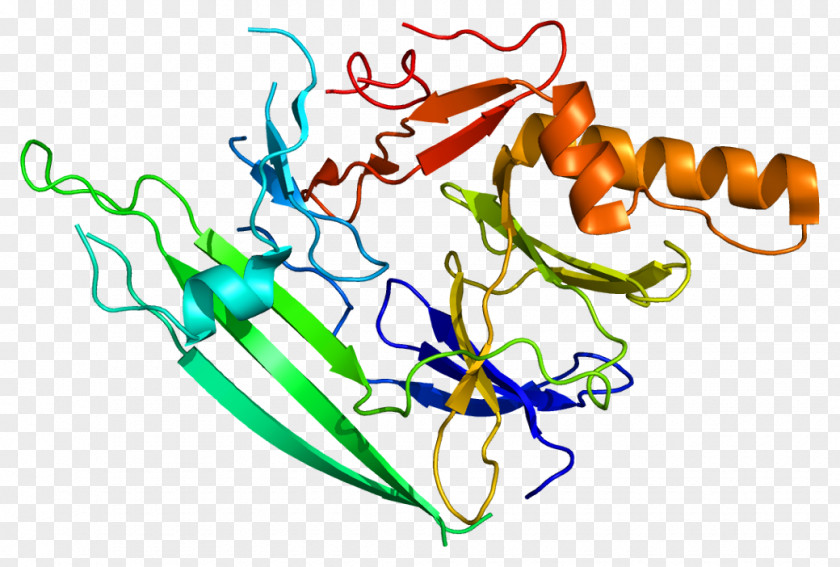 Unfolded Protein Response ERN1 Kinase Structure PNG