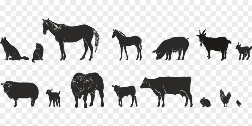 12 Animals Finnish Presidential Election, 2018 Cattle Animal Agriculture Clip Art PNG