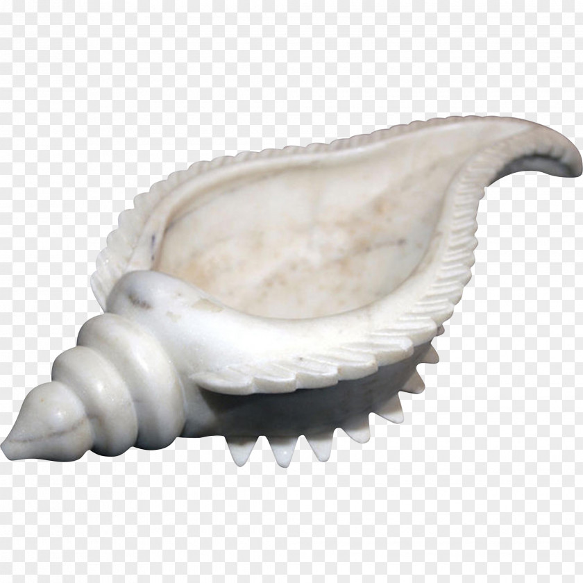 Conch Shaped Inkstone Shankha Seashell Tibia Marble PNG