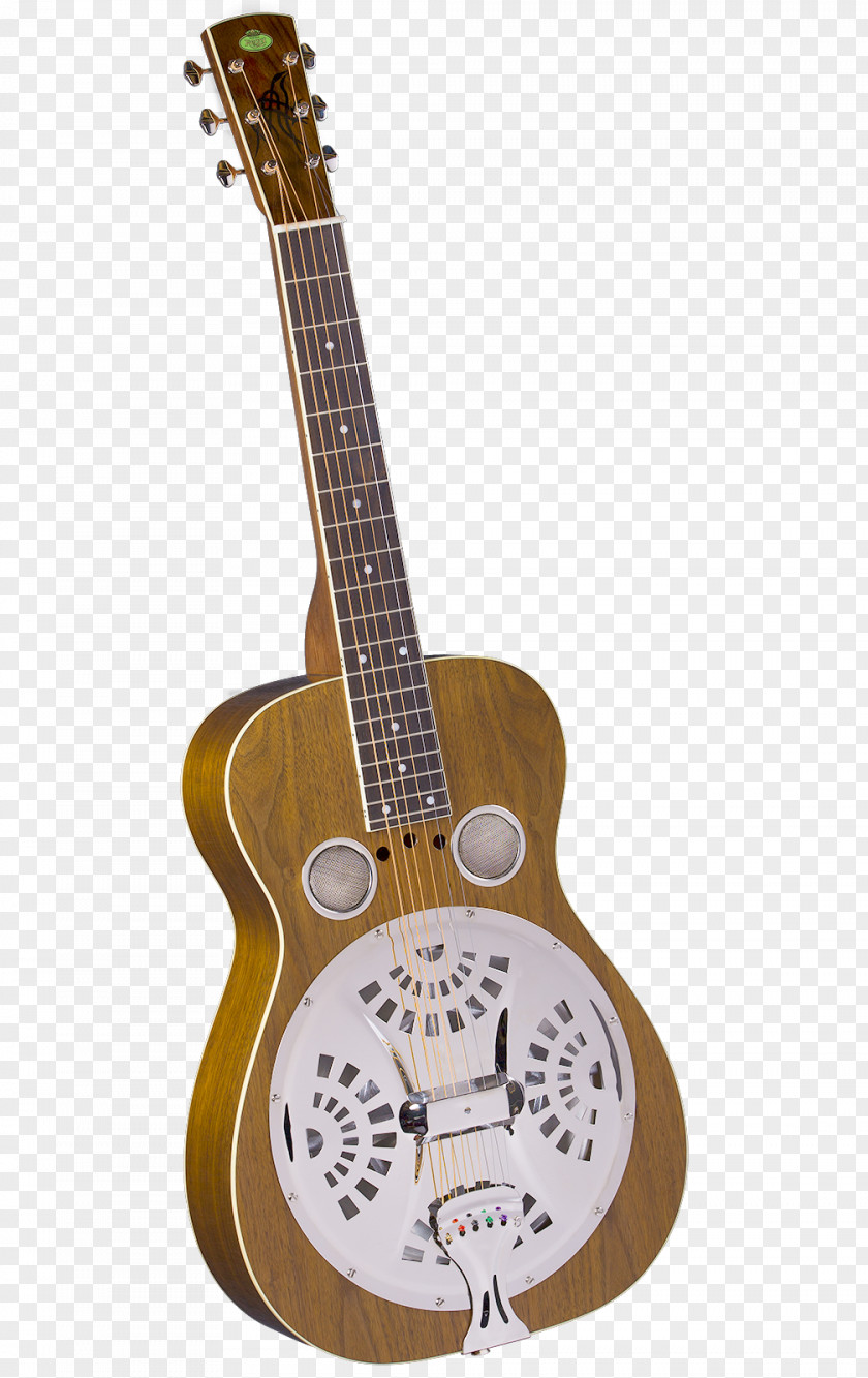Guitar Resonator String Instruments Acoustic Musical PNG
