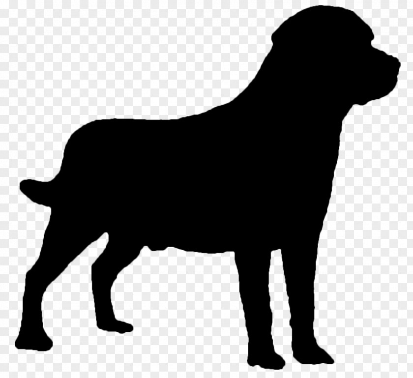 Labrador Retriever Sticker Spain Image Bull PNG