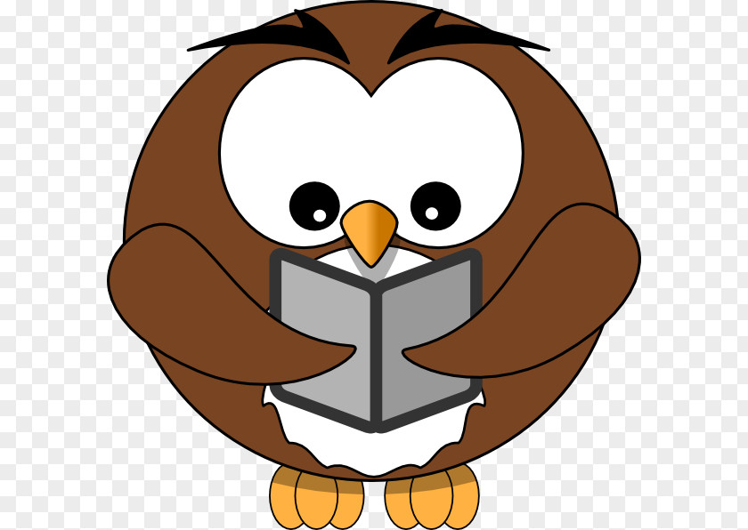 Owl Computer Cliparts Reading Book Clip Art PNG