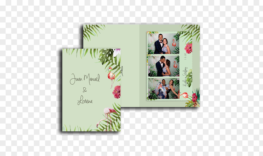 Corona De Laurel Verde Photo Booth Picture Frames Photography Wedding Mirror PNG