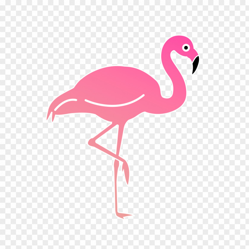 Flamingos Las Canciones Que Escribí Mientras Volaba Bird Beak Feather Compact Disc PNG