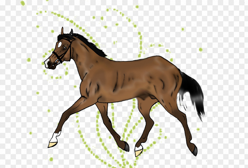 Mustang Hanoverian Horse Colt Foal Stallion PNG
