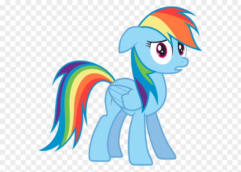 My Little Pony Rainbow Dash Rarity Twilight Sparkle Pinkie Pie PNG