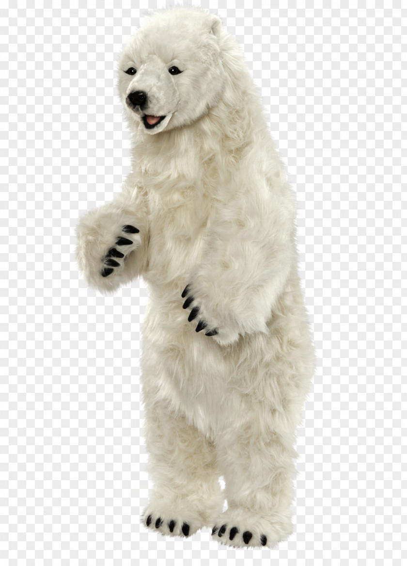 Polar Bear Standard Poodle Miniature PNG